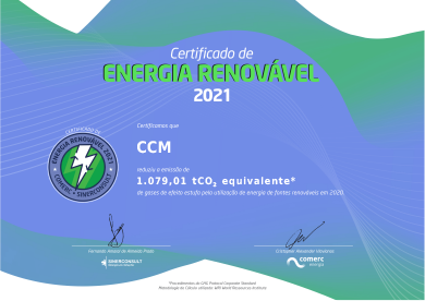 energia-renovavel-2021